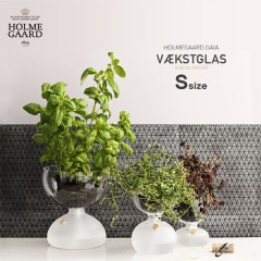 HOLMEGAARD �ۥ�६���� GAIA PLANT GLASS ������ �ץ��ȥ��饹��9cm S������<br>ARIC SNEE ���ꥢ �ե����� ���饹 �Х��� �ϡ��� �ץ�󥿡� ���տ�ʪ ��� 4343820<br>�ڥ���ӥ˼����б����ʡۡ�RCP��