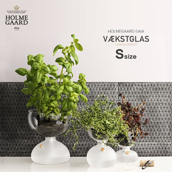 HOLMEGAARD ホルムガード GAIA PLANT GLASS ガイア プラントガラスΦ9cm