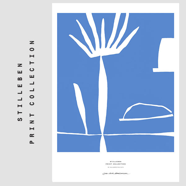 【STILLEBEN /スティルレーベン】Palm  50×70cm《5070LDA-pal》<br>by LEISE DICH ABRAHAMSEN /ライズ・ディッヒ・アブラハムセン/デンマーク/アートプリント/ギフト/写真/ポスター【RCP】