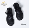 Chaco/㥳ۥǥåodyssey ǥ /  / ݡĥ