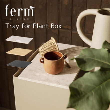 ferm LIVING եӥ Tray for Plant Box ץȥܥå ѥȥ쥤 ȥ졼   ̲<br><br>μǼȥ졼