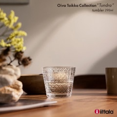 iittala å ĥɥ ֥顼 290ml Tundra Хȥå 1065611