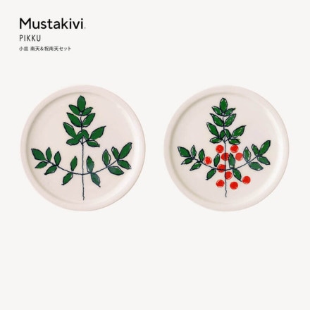 Mustakivi ॹ PIKKU  ŷŷå ƣͺ FUJIWO ISHIMOTO