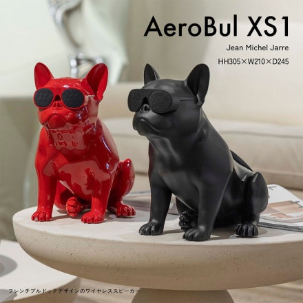 AeroBull XS1 ֥ 磻쥹ԡ ֥ɥå Bluetooth ǥ ԡ<br><br>󥰥饹򤷤ե֥ɥå