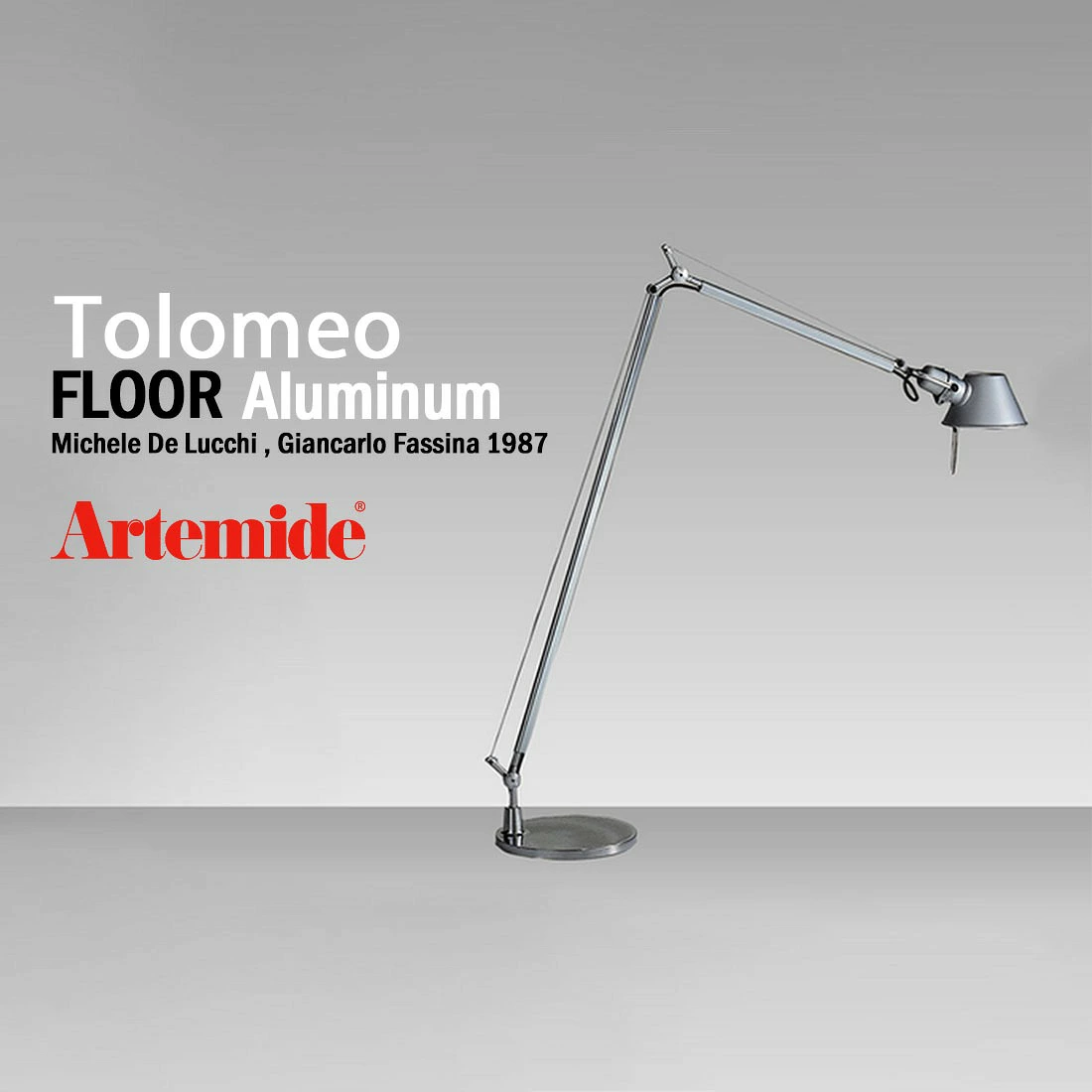 Artemide アルテミデ TOLOMEO Reading FLOOR Aluminium トロメオ
