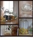  ڥϡ opus Forradskrukke 饹˥ 0.5L16050<br>ǥ/Ole Palsby<br>Storage Jar/ȥ졼㡼/ȥå/Ĵ̣ƴ/¸ƴ/饹ڥӥ˼бʡۡRCP