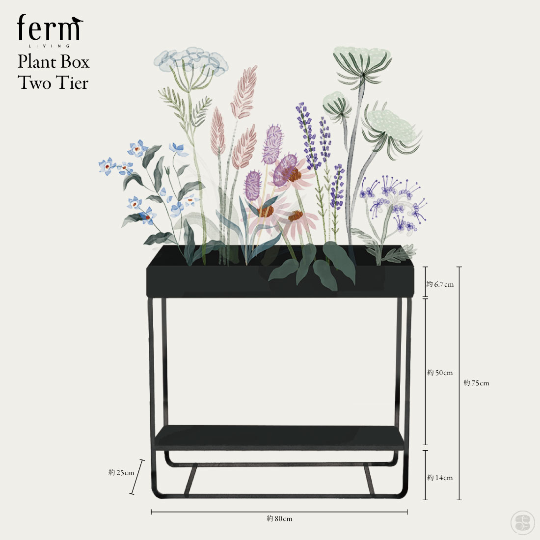 ferm LIVING/եӥ/Plant Box Two Tier/ץȥܥå2/ȭ/տʪ/꡼/ӥ/Ǽ/̲/ƥꥢ/ʪ