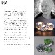 ڥɥץ쥼ȥڡ»KOSTABODA Snowball L Candle Holder Ann Warff ܥ Ρܡ ɥۥ 󡦥 7067353<br><br>衼åѤǺǤˤθŤ饹
