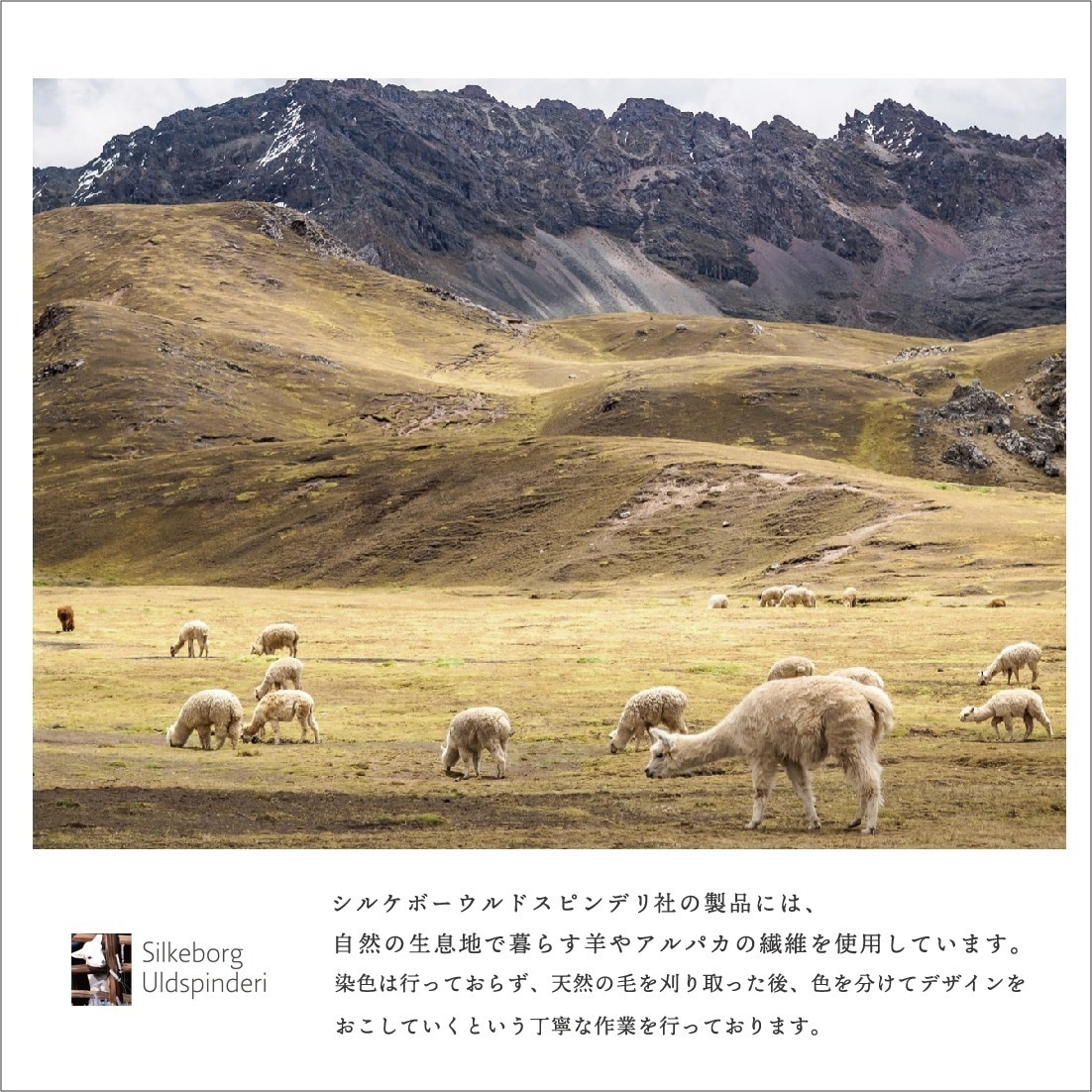 �ڥࡼ�ߥ󥹥ݥ󥸥磻�ץץ쥼��ȡ� Silkeborg Uldspinderi ���륱�ܡ�����ɥ��ԥ�ǥ� ���������������꡼�� ���������å� 100 x140cm ���ƥ���졼�٥�<br><br>����������Υ��������Τ褦�˵￴�ϤΤ褤���������å�