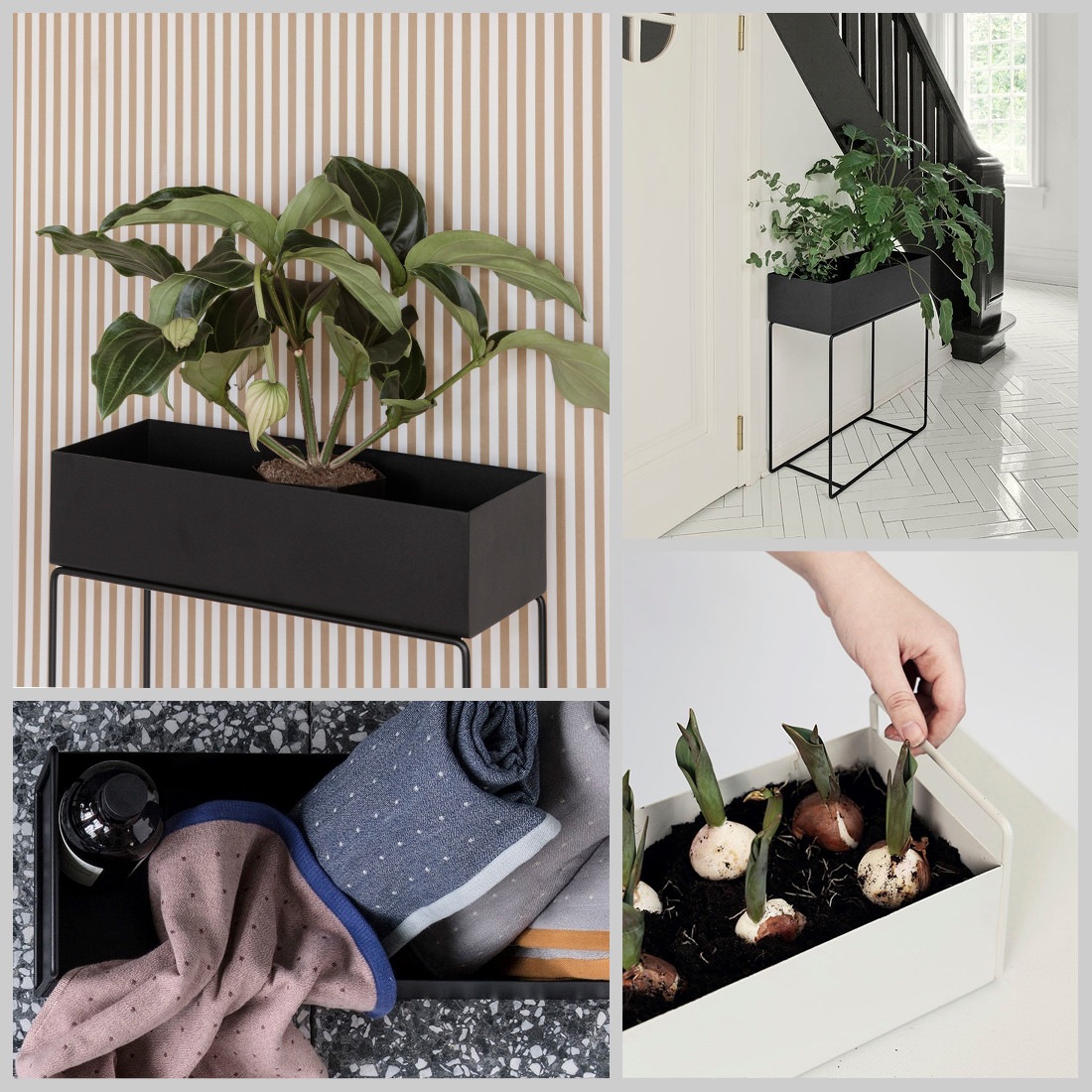 ferm LIVING  եӥ󥰡 Tray for Plant Box ȥ쥤 <br>ȭ տʪ ӥ Ǽ ̲ ƥꥢ ʪRCP