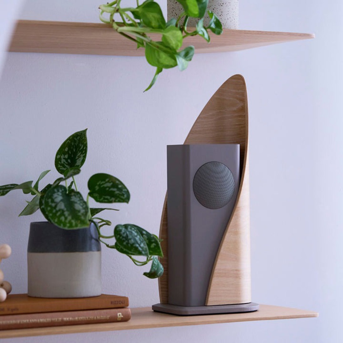 Sit Back & Relax åȥХåɥå Sail Combo 륳 ݡ֥륹ԡ 2ĥå ǥ