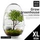 Design House Stockholm ǥϥȥåۥGrow GREENHOUSE  clear XL<br> ꡼ϥ ꥢ 饹L ȭ ȭ ̲ Vase ӡڥӥ˼бʡۡRCP