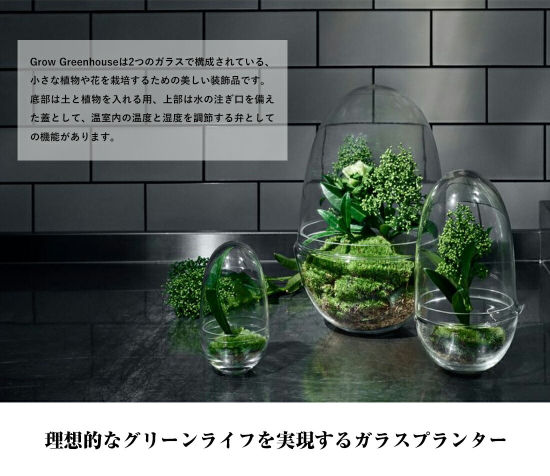 Design House Stockholm ǥϥȥåۥGrow GREENHOUSE  clear L<br> ꡼ϥ ꥢ 饹L ȭ ȭ ̲ Vase ӡڥӥ˼бʡۡRCP