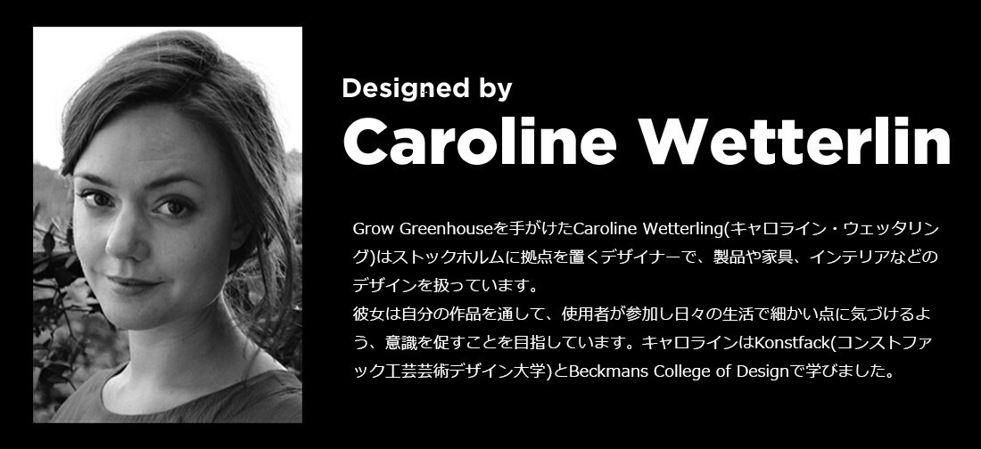 Design House Stockholm ǥϥȥåۥGrow GREENHOUSE  clear L<br> ꡼ϥ ꥢ 饹L ȭ ȭ ̲ Vase ӡڥӥ˼бʡۡRCP