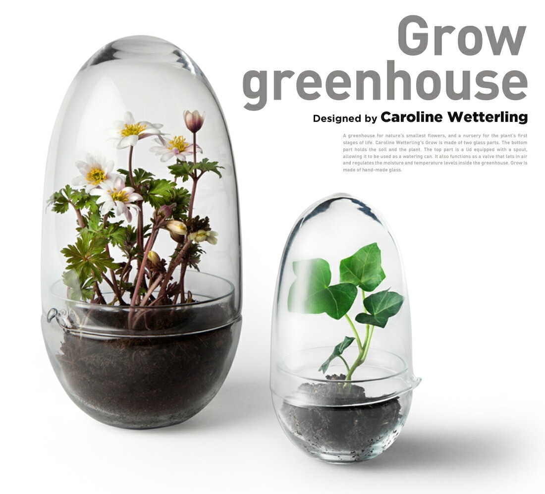 Design House Stockholm ǥϥȥåۥGrow GREENHOUSE  clear L<br> ꡼ϥ ꥢ 饹L ȭ ȭ ̲ Vase ӡڥӥ˼бʡۡRCP