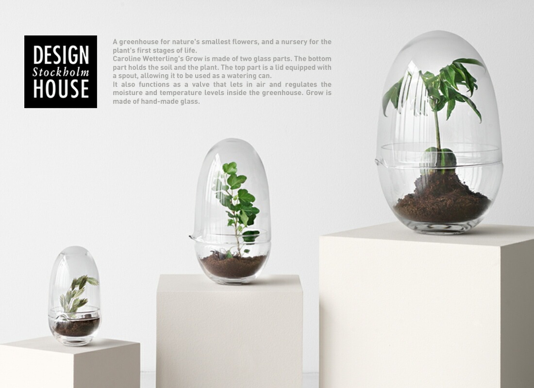 Design House Stockholm ǥϥȥåۥGrow GREENHOUSE  clear L<br> ꡼ϥ ꥢ 饹L ȭ ȭ ̲ Vase ӡڥӥ˼бʡۡRCP