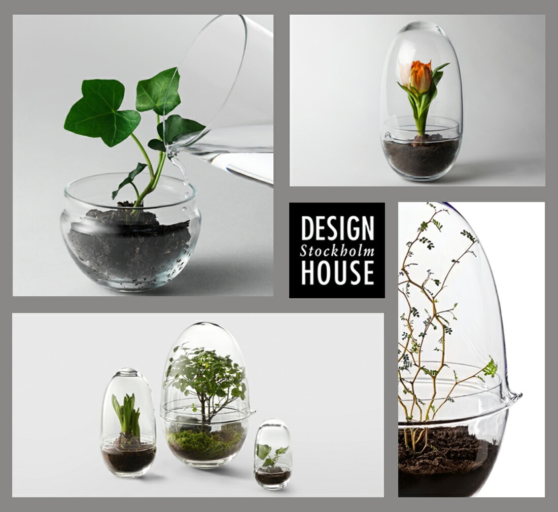Design House Stockholm ǥϥȥåۥGrow GREENHOUSE  clear L<br> ꡼ϥ ꥢ 饹L ȭ ȭ ̲ Vase ӡڥӥ˼бʡۡRCP