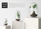 Design House Stockholm ǥϥȥåۥGrow GREENHOUSE  clear L<br> ꡼ϥ ꥢ 饹L ȭ ȭ ̲ Vase ӡڥӥ˼бʡۡRCP