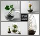 Design House Stockholm ǥϥȥåۥGrow GREENHOUSE  clear L<br> ꡼ϥ ꥢ 饹L ȭ ȭ ̲ Vase ӡڥӥ˼бʡۡRCP