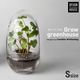 Design House Stockholm ǥϥȥåۥGrow GREENHOUSE  clear <br> ꡼ϥ ꥢ 饹 ȭ ȭ ̲ Vase ӡڥӥ˼бʡۡRCP