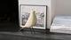 Vitra ȥ Eames House Bird ॺϥС ash cotton white å女åȥۥ磻 ֥ ʪ ƥꥢ<br>Źʡۿ߽̾ФƤɽȶ֥