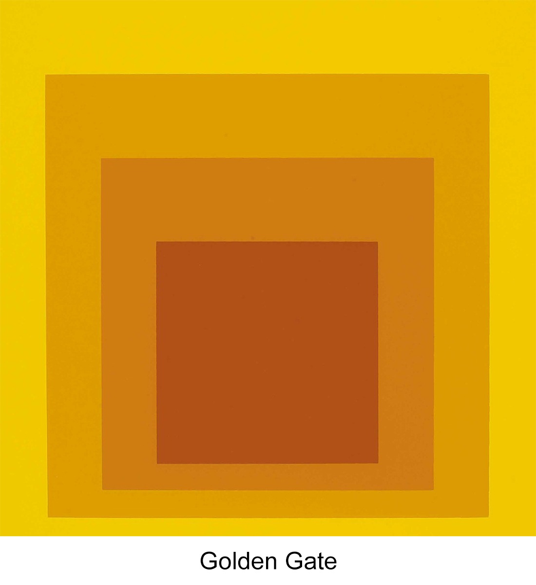 WRONGSHOP ���󥰥���å� Josef Albers �襼�ա�����С��� ����С������� �Х��ϥ��� �ݥ����� ������ �ե졼�� ����<br><br>�襼�ա�����ˡ�����С������ĤȤΥ���ܥ졼��������ݥ�����