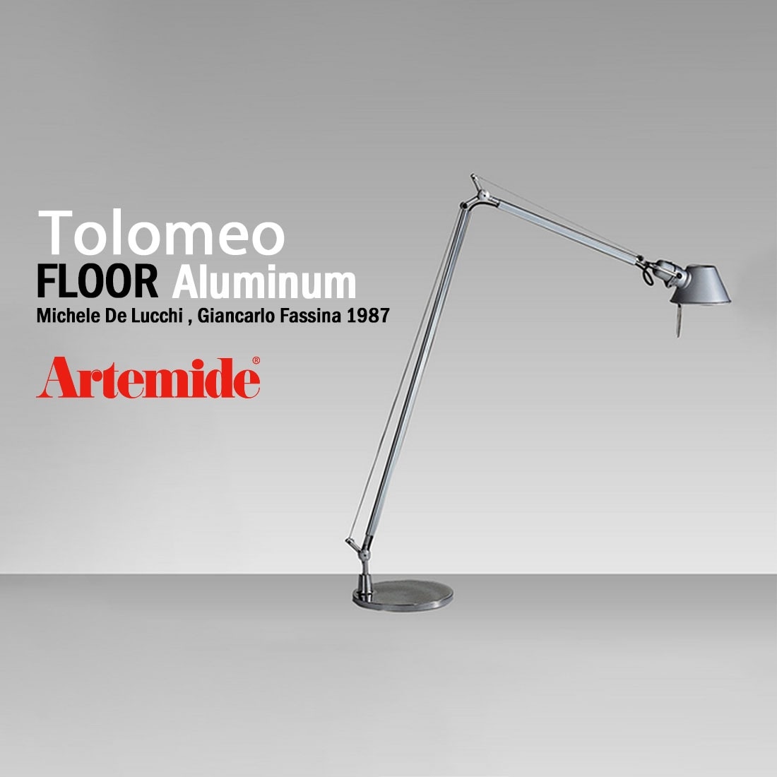 Artemide アルテミデ TOLOMEO Reading FLOOR Aluminium トロメオ