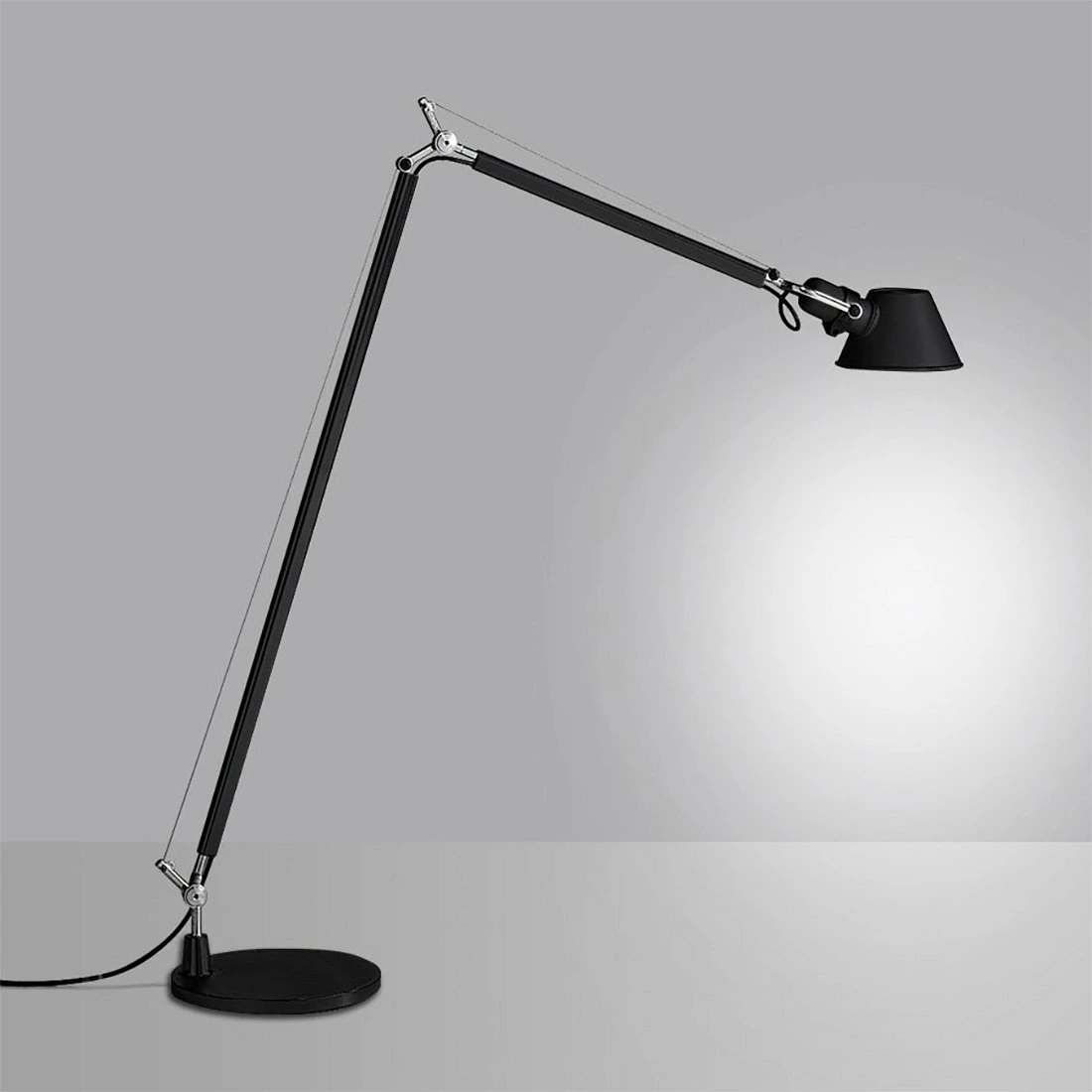 トートバッグプレゼント】TOLOMEO Reading FLOOR トロメオ