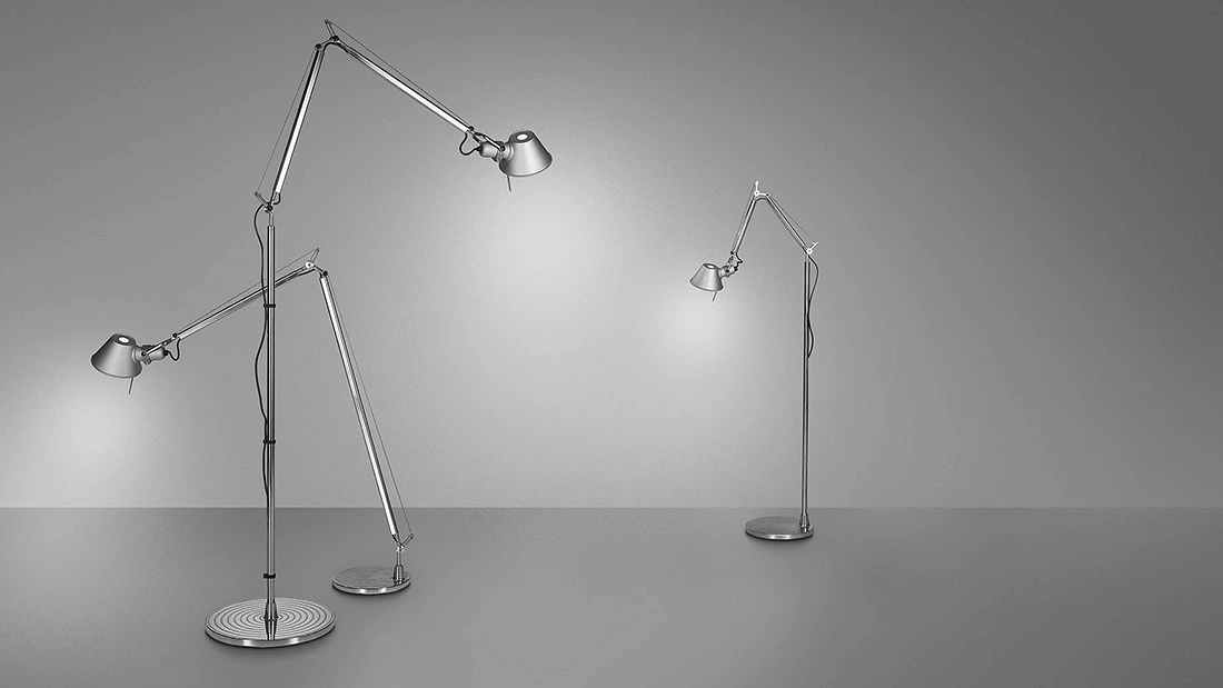 トートバッグプレゼント】TOLOMEO Reading FLOOR トロメオ