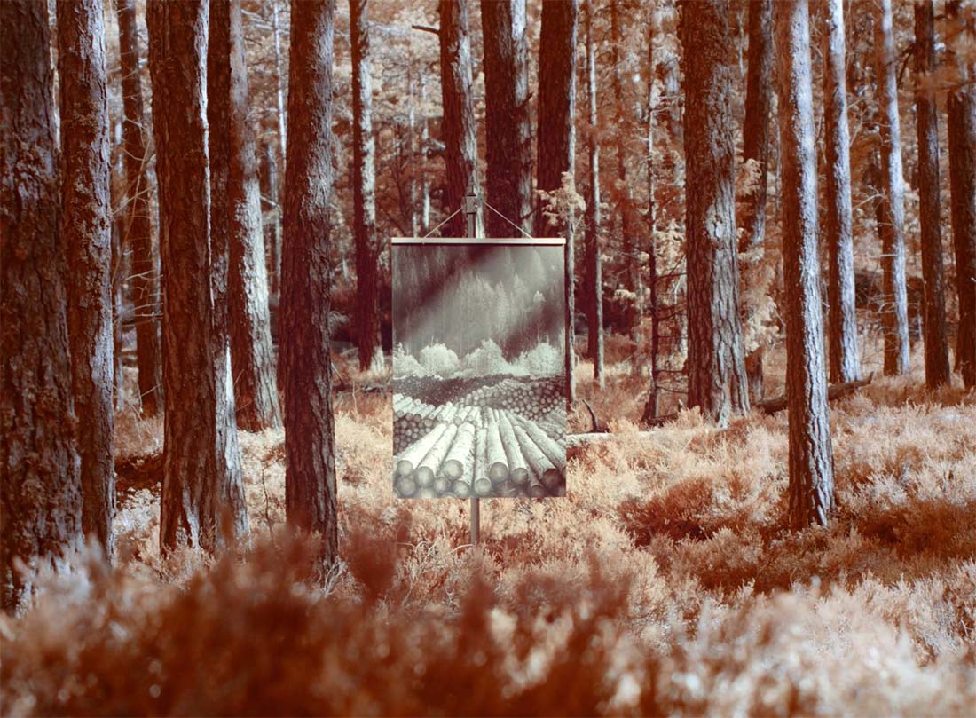 �ڥݥ��ȥ����ɥץ쥼��ȡ�artek ����ƥå� Stool60 ���ġ���60 �磻��ɥС��� 3��­ ���������������� Alvar Aalto