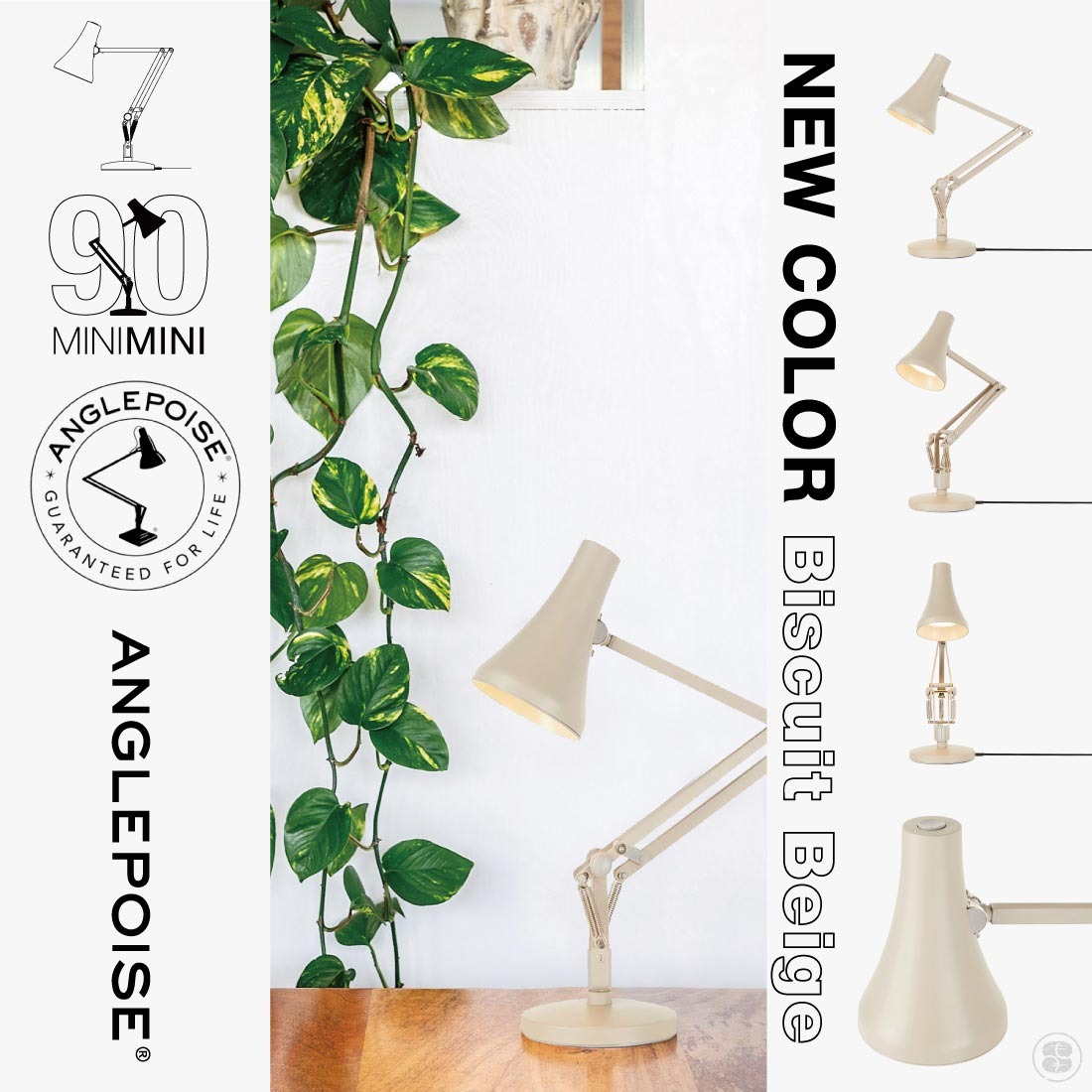 ANGLEPOISE ���󥰥�ݥ��� 90 MINI MINI �ǥ������� �����ꥹ ��������� �ߥ˥ߥ� ����������  LED USB Sir Kenneth Grange<br><br>����ή�̾���