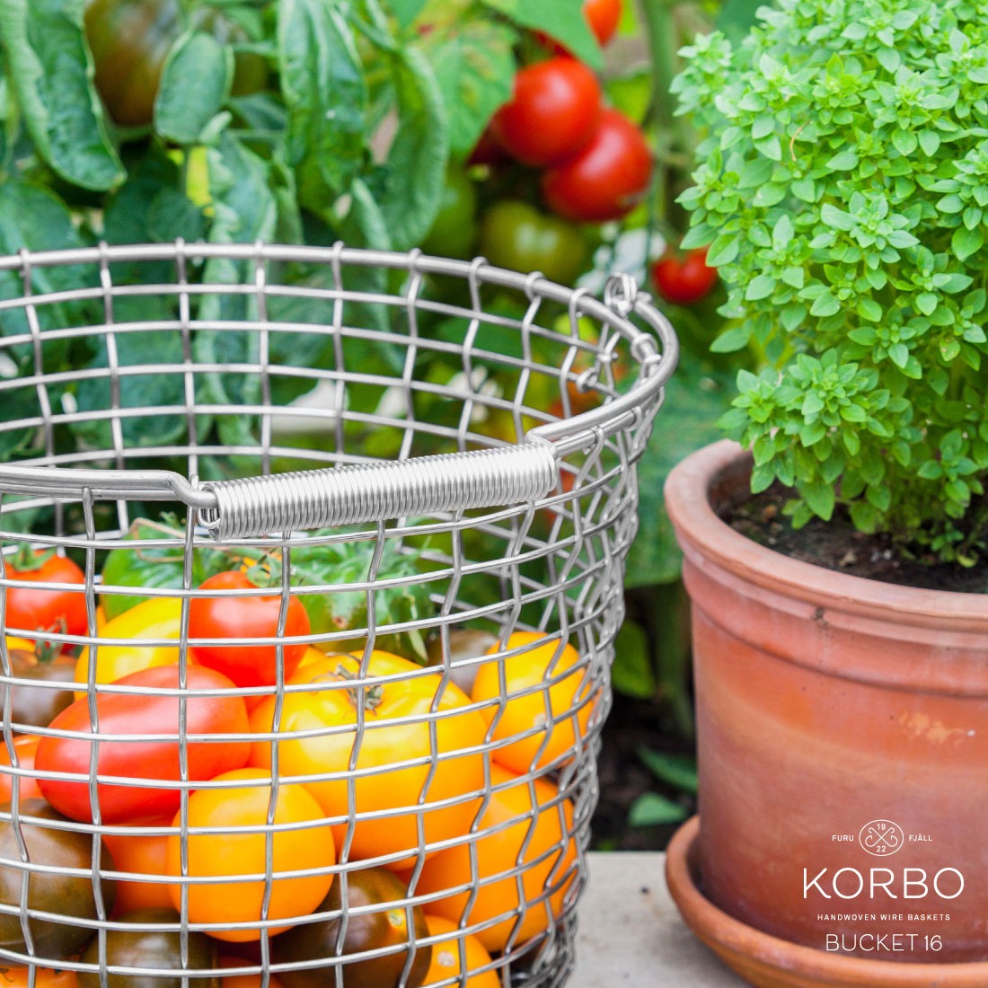 ��KORBO/����ܡ�BUCKET16/�磻�䡼�Х����åȼ꿥��/���������ǥ�/�̲�/����/���ƥ�쥹������������Ź��