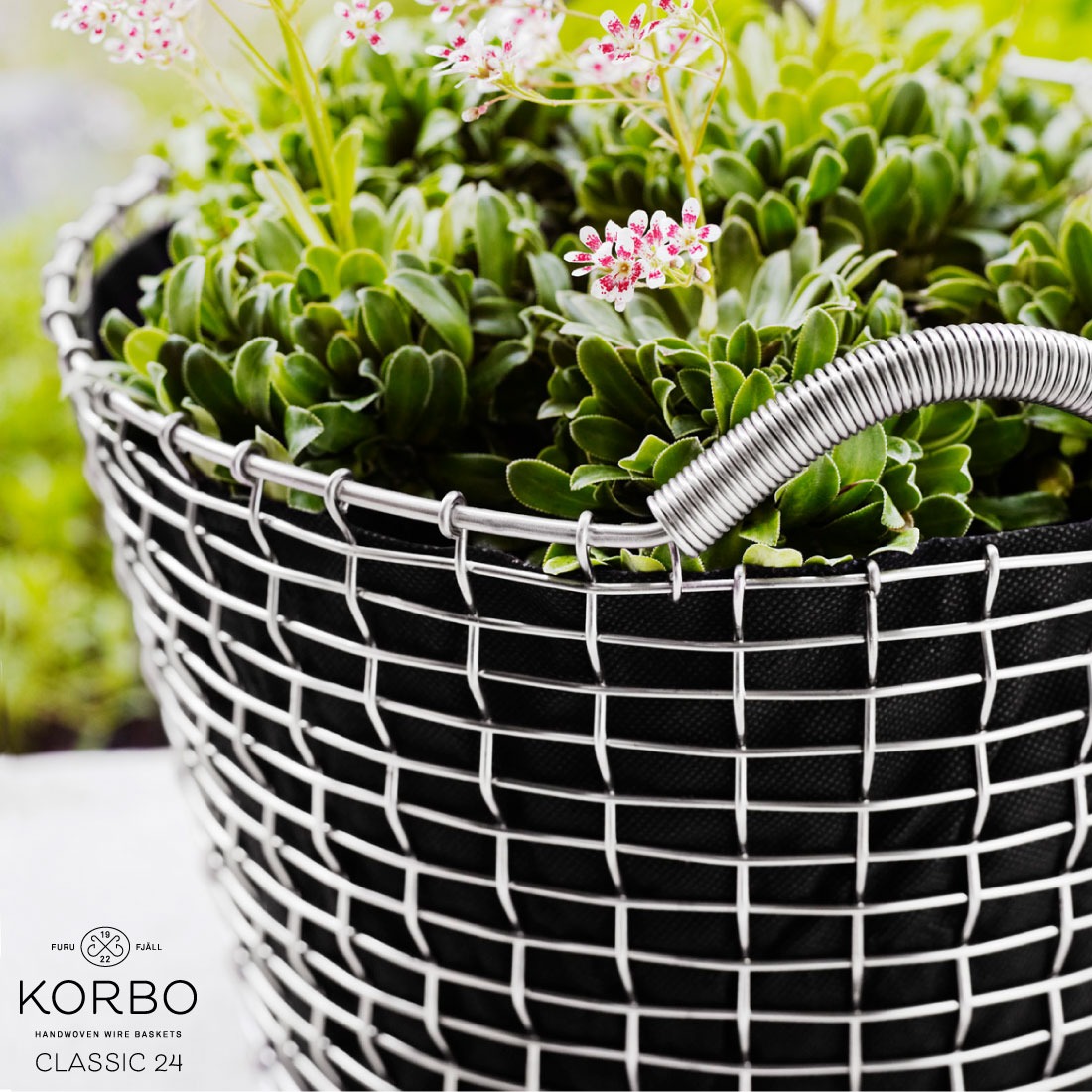 ��KORBO/����ܡ�PLANT BAG24/�ץ��ȥХå�24���������ǥ�/�̲�/����/�����ǥ˥�������������Ź��