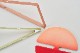 tempo ƥ ӡ perfect instance Botanical color ѡեȥ󥹥 ܥ˥륫顼 Lisa Bernasconi ꥶ٥ʥ ֥ <br><br>֤俢ʪ褦˥ӡΤ餷