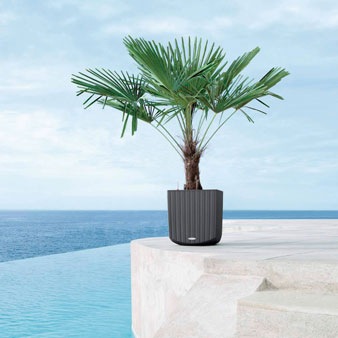 ��Lechuza ����塼���ۥǥ�����ץ�󥿡� Lechuza ����塼��  Cottage Cube ���ơ��������塼�� COC-3944 ��3�����顼�Хꥨ��������RCP��