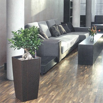 ��Lechuza ����塼���ۥǥ�����ץ�󥿡�  Cottage ���ơ��� COT-3056 ��3�����顼�Хꥨ��������RCP��