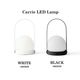 ��SALE�ۥ����ݥ��Բ� Audo Copenhagen Carrie LED Lamp ����꡼ LED ���� �̲� ����ƥꥢ �饤�� �ҥ�å� �����ɥ쥹 USB����