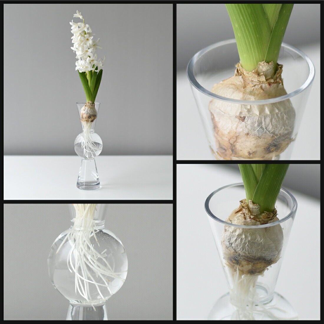 ��Design House Stockholm�� Bon Bon Vase clear �ܥ�ܥ�١��������ꥢ<br>Eva Schild ������ ����� ���� �ִ� �庹�� ���饹 �̲� �ǥ�����ϥ������ȥå��ۥ��ڥ���ӥ˼����б����ʡۡ�RCP��