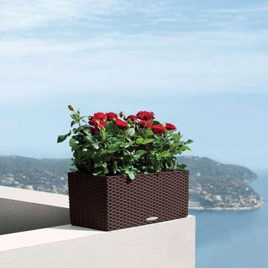 ��Lechuza ����塼���ۥǥ�����ץ�󥿡���Balconera �Х륳�ͥ� BAL-8019 ��3�����顼�Хꥨ��������RCP��