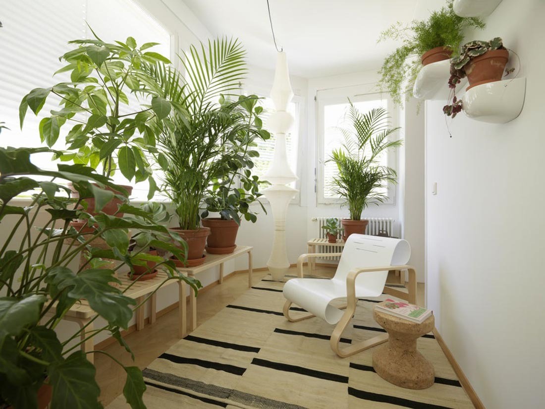 �ڥݥ��ȥ����ɥץ쥼��ȡ�artek ����ƥå� �٥�� 153A �ʥ����롡��å��� �ػ� ���������������� L��å� �ե������