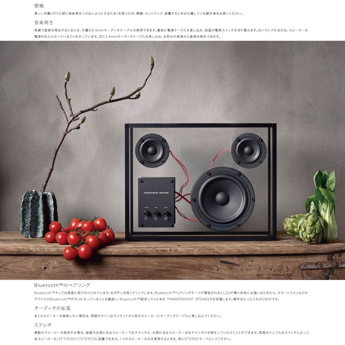 TRANSPARENT SPEAKER トランスペアレント スピーカー（ブラック