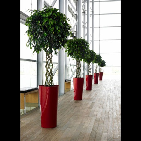 ��Lechuza ����塼���ۡ����������դ��ۥǥ�����ץ�󥿡� Lechuza ����塼��  Delta �ǥ륿 DEL-4075 ��3�����顼�Хꥨ��������RCP��