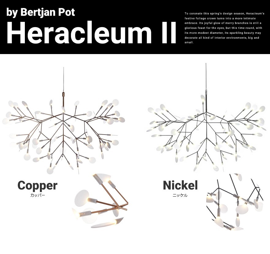 �ڥ����ݥ������Բġۡ�����Բġۡ�moooi/�⡼����Heracleum 2 �إ饯�쥦��2<br>Bertjan Pot/SFHL-HERACLEUM2E/�ڥ����ȥ饤�ȡ�RCP��