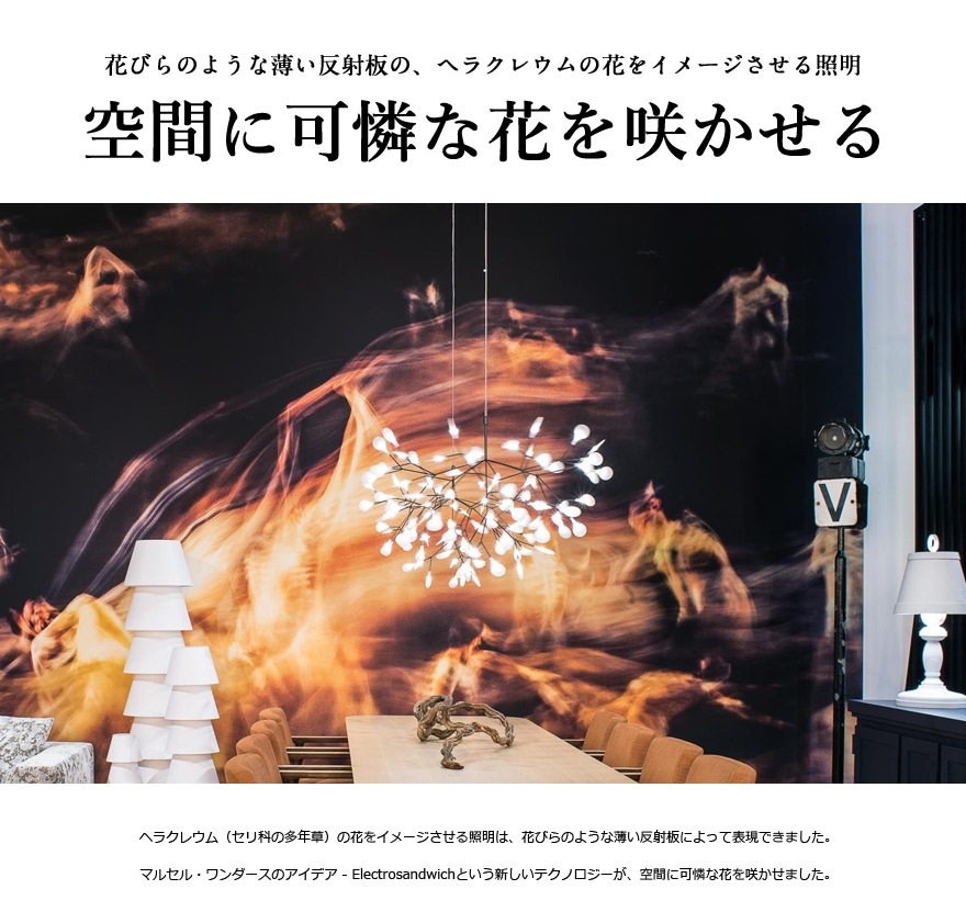 �ڥ����ݥ������Բġۡ�����Բġۡ�moooi/�⡼����Heracleum 2 �إ饯�쥦��2<br>Bertjan Pot/SFHL-HERACLEUM2E/�ڥ����ȥ饤�ȡ�RCP��