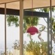 &TRADITION ɥȥǥ FLOWERPOT PENDANT VP1 եݥå ڥ ڥȥ饤  ӥ å ˥ Verner Panton<br><br>ʡѥȥˤǥ󤵤줿ߥåɥ꡼ɽ/ץ