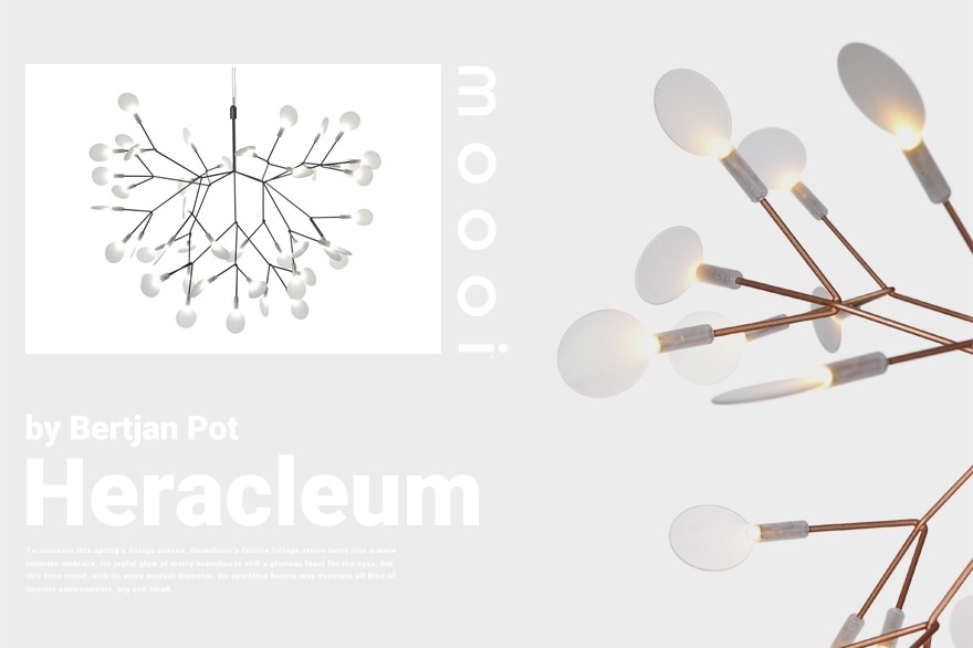 �ڥ����ݥ������Բġۡ�����Բġۡ�moooi/�⡼����Heracleum 2S �إ饯�쥦��2S<br>Bertjan Pot/SFHL-HERACLEUM2ES/�ڥ����ȥ饤�ȡ�RCP��