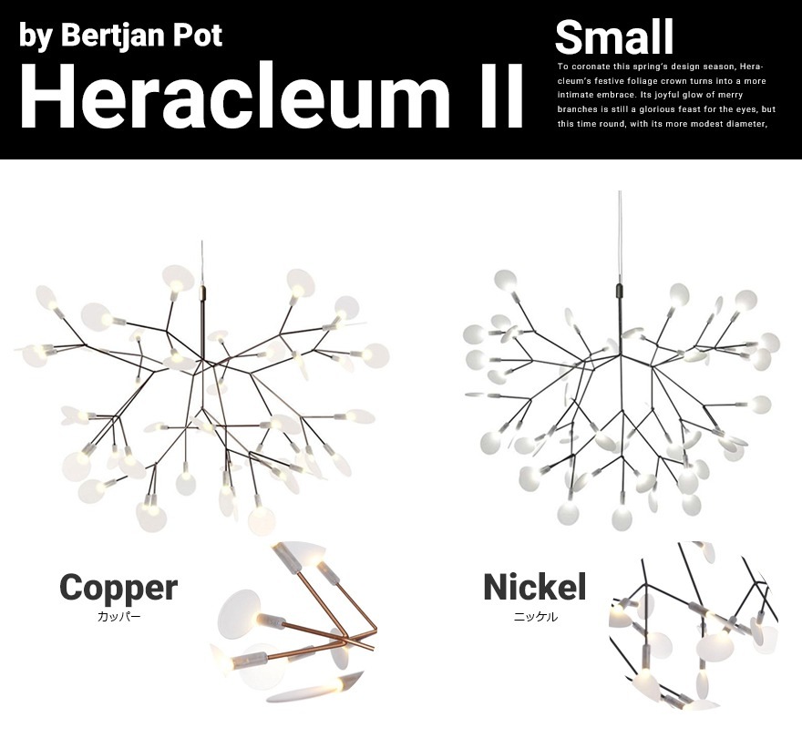 �ڥ����ݥ������Բġۡ�����Բġۡ�moooi/�⡼����Heracleum 2S �إ饯�쥦��2S<br>Bertjan Pot/SFHL-HERACLEUM2ES/�ڥ����ȥ饤�ȡ�RCP��
