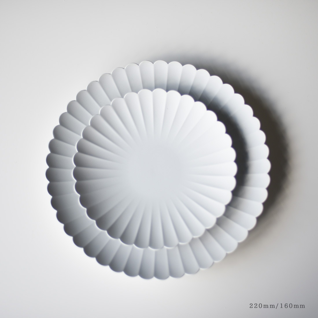 ͭľ/1616/arita japan TY Palace 220mm ȹǥ<br>TYѥ쥹//plate/ɴƫ/ ꥿ ѥ//standard<br>ڥӥ˼бʡۡRCP