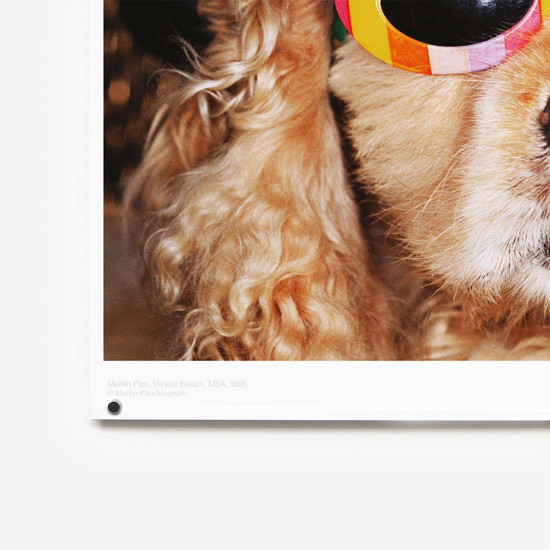 WRONGSHOP ���󥰥���å� Martin Parr �ޡ��ƥ��󡦥ѡ� Venice Beach �٥˥��ӡ��� �ݥ����� ������<br><br>�ѹ�ǺǤ�ͭ̾�ʼ̿��Ȥΰ�͡��ޡ��ƥ��󡦥ѡ��ˤ�뿷�����̿����꡼��