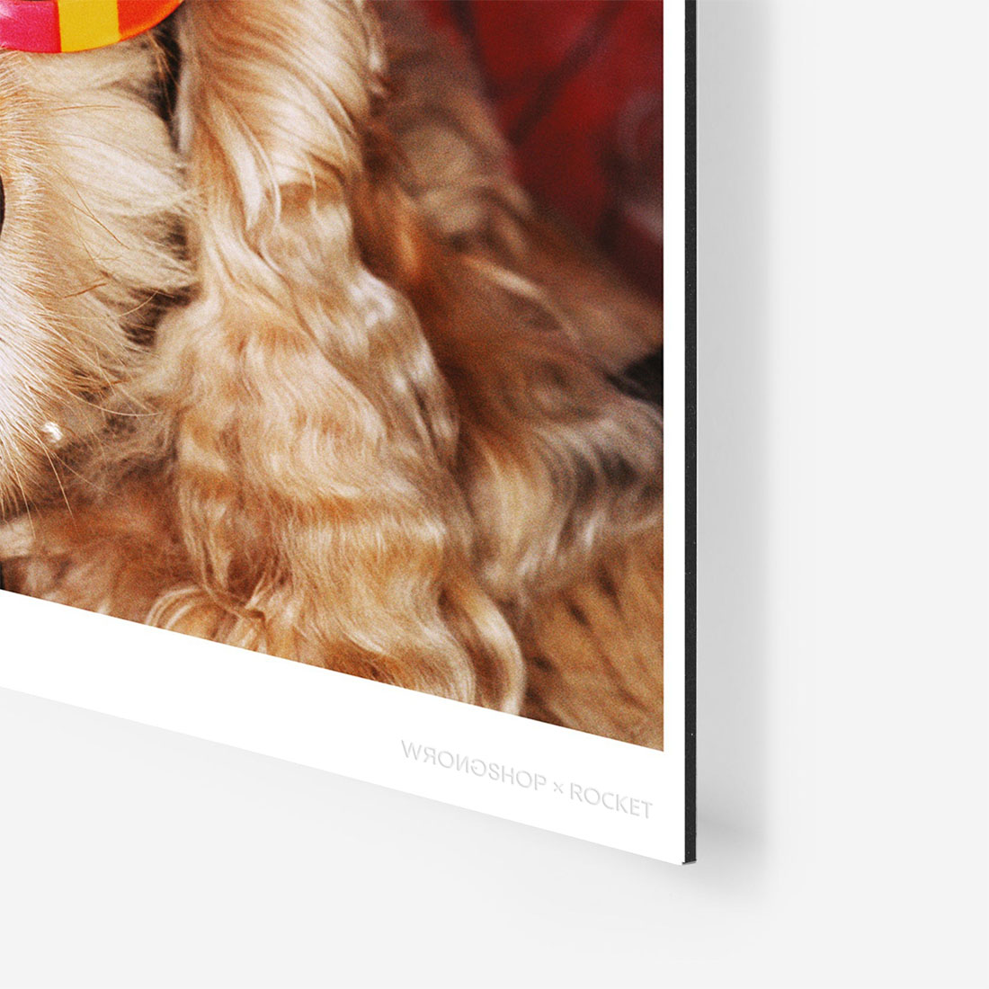 WRONGSHOP ���󥰥���å� Martin Parr �ޡ��ƥ��󡦥ѡ� Venice Beach �٥˥��ӡ��� �ݥ����� ������<br><br>�ѹ�ǺǤ�ͭ̾�ʼ̿��Ȥΰ�͡��ޡ��ƥ��󡦥ѡ��ˤ�뿷�����̿����꡼��